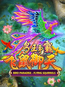 Bird Paradise
