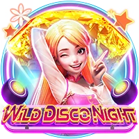 Wild Disco Night