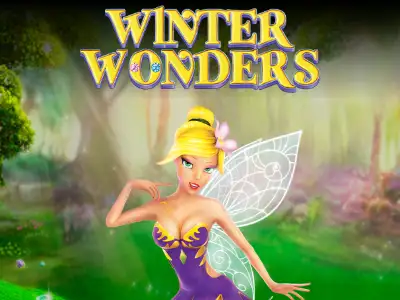 Winter Wonders